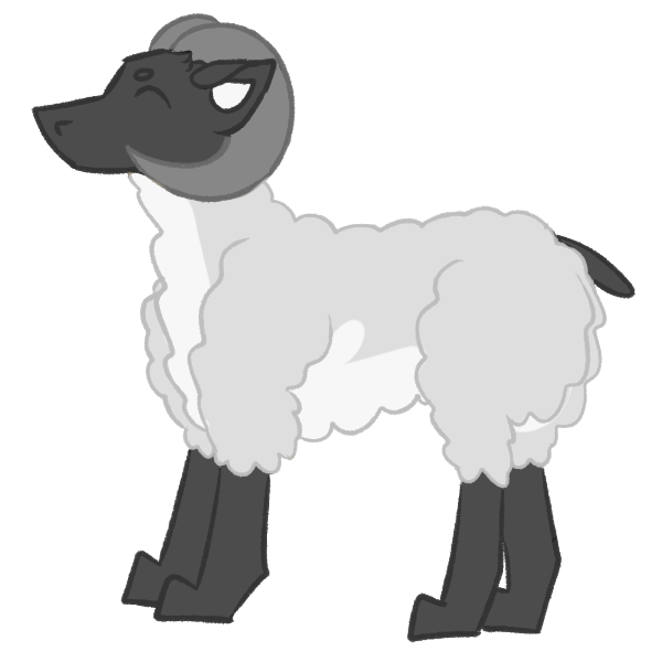 Sheep’s Wool